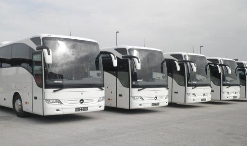 Alba County: Bus company in Ocna Mureș in Ocna Mureș and Romania