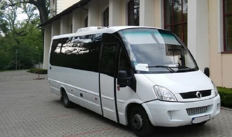 Harghita County: Bus order in Gheorgheni in Gheorgheni and Romania