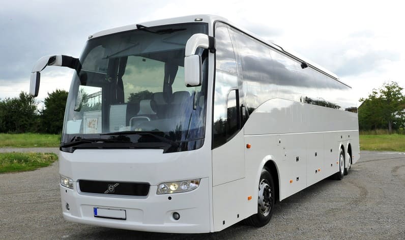 Romania: Buses agency in Alba County in Alba County and Romania