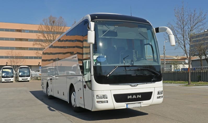 Cluj County: Buses operator in Cluj-Napoca in Cluj-Napoca and Romania