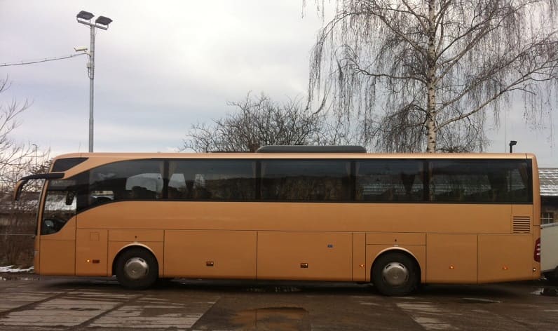 Bihor County: Buses order in Salonta in Salonta and Romania