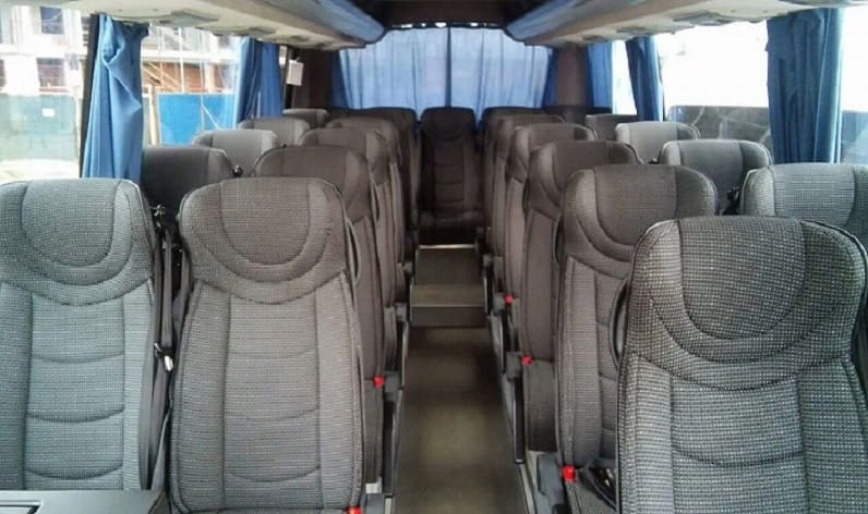 Romania: Coach hire in Bihor County in Bihor County and Salonta