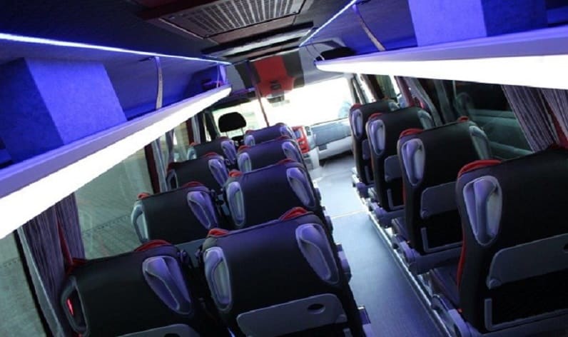 Romania: Coach rent in Romania in Romania and Bihor County