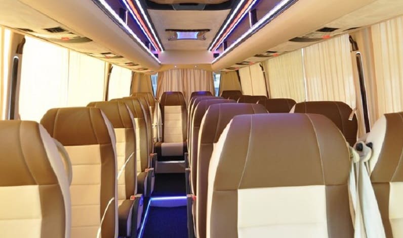 Romania: Coach reservation in Hunedoara County in Hunedoara County and Lupeni