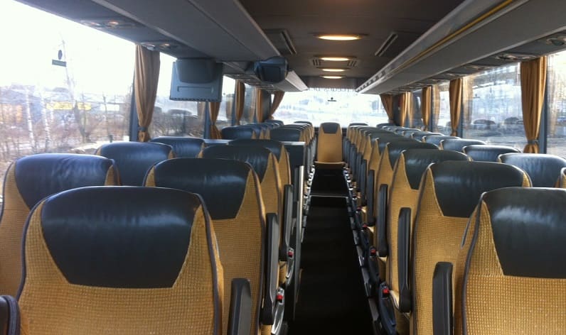 Romania: Coaches company in Satu Mare County in Satu Mare County and Carei